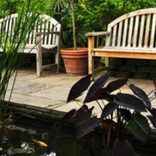 garden with pond