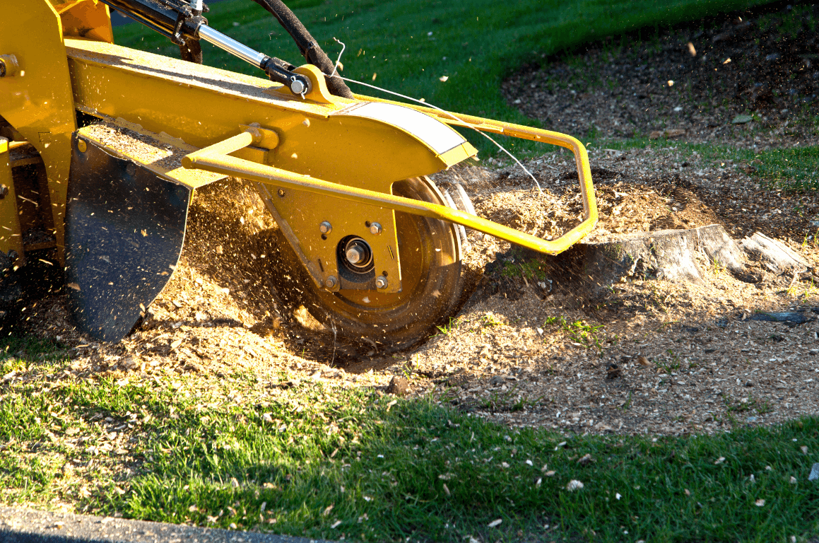 stump grinding