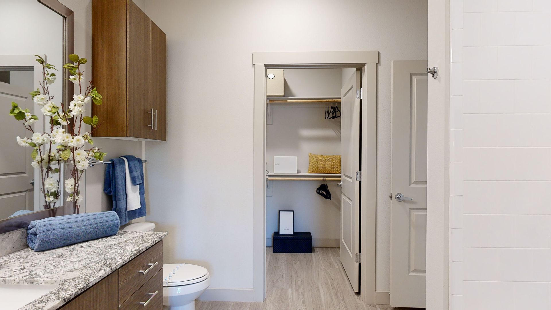 A bathroom with a toilet , sink , mirror and walk in closet.