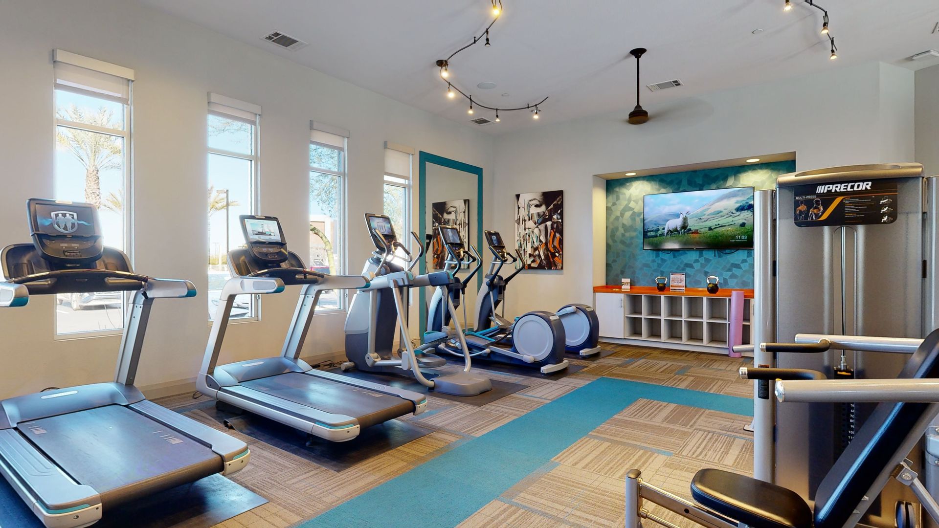A gym with treadmills , ellipticals , and other exercise equipment.