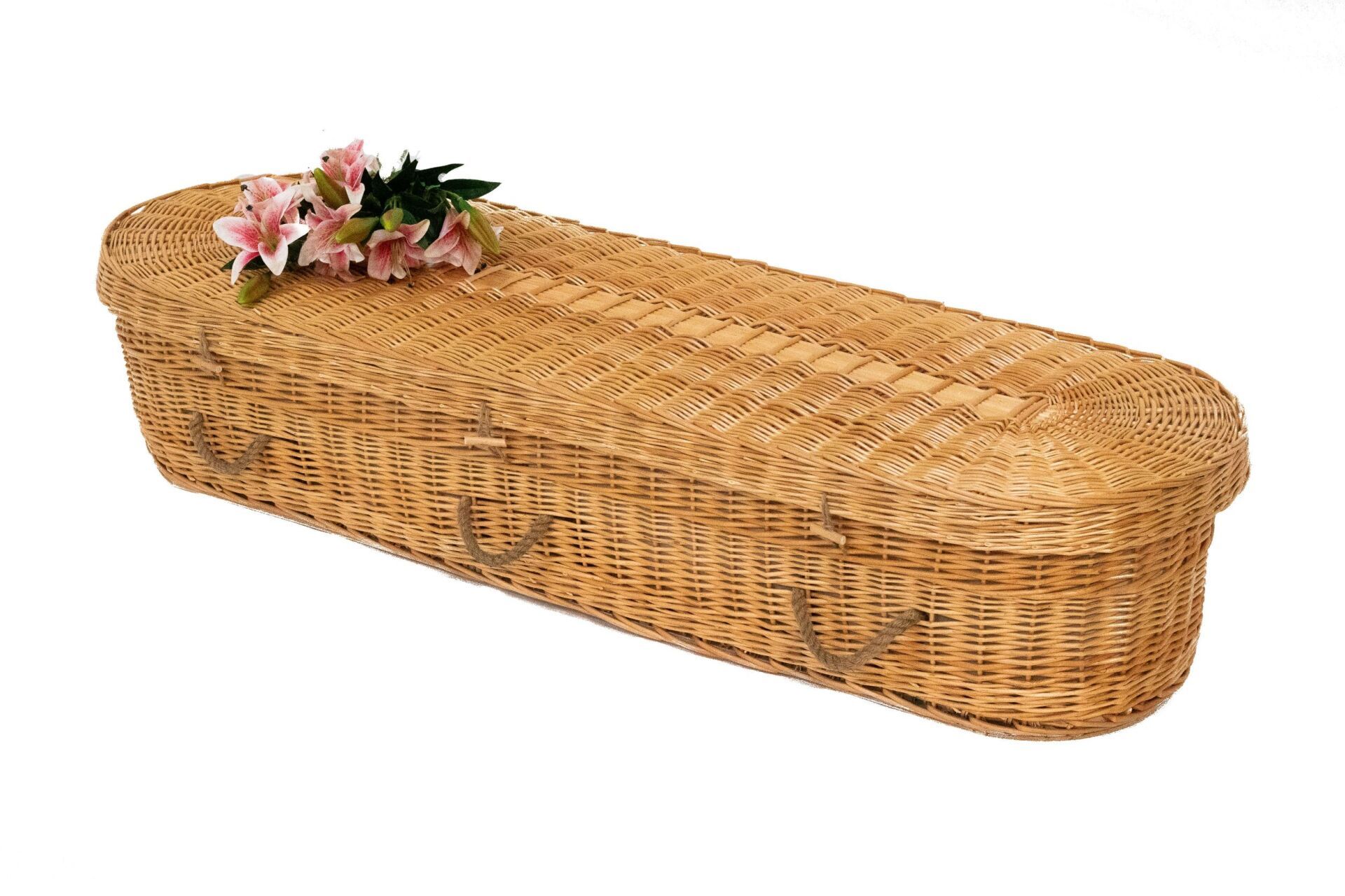 Willow eco coffin