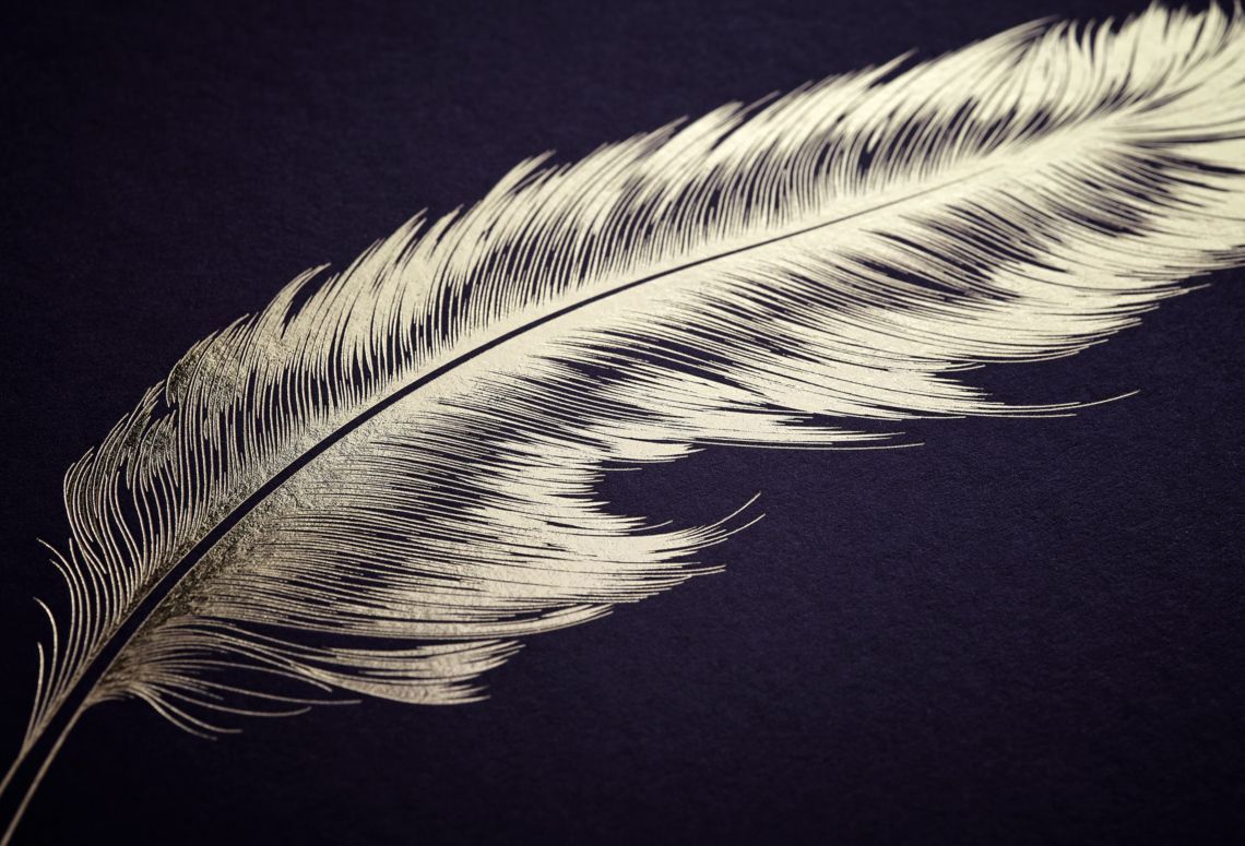 White feather on dark purple background