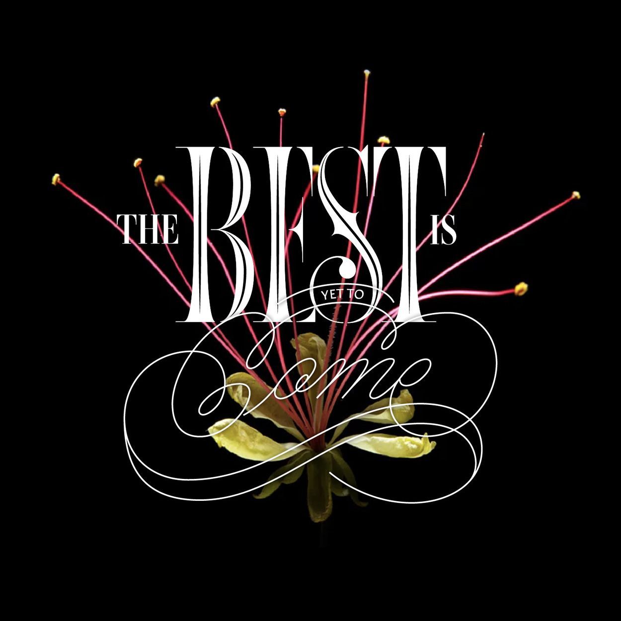 Stylized black poster with white “THE BEST is yet to come” text and a gold flower accent