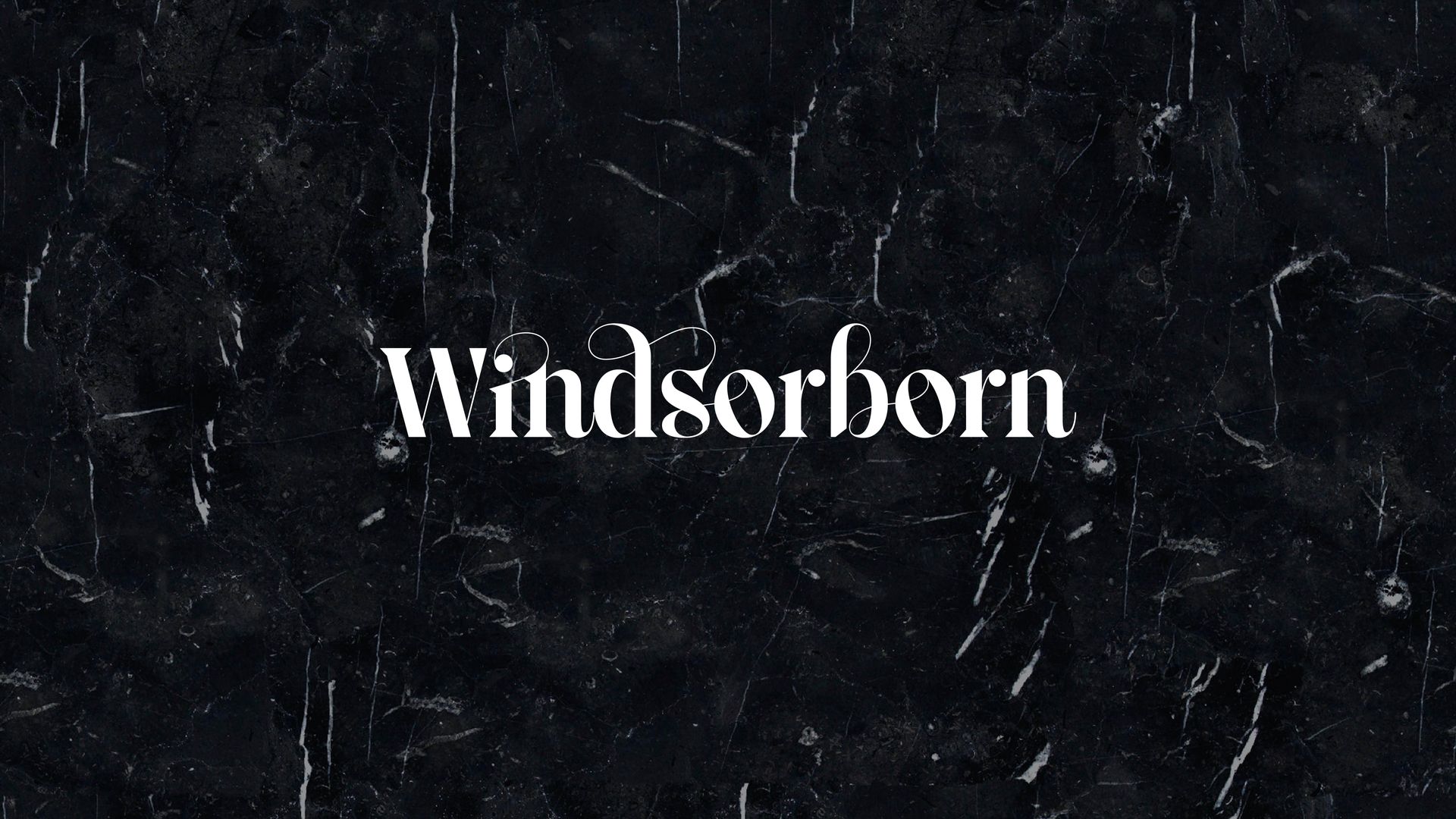 White “Windsborn” text centered on a dark, textured background.