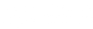 Adelaide Professional Carpet Cleaning Services