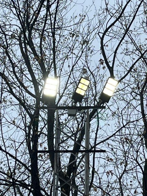 Trois lampes LED rectangulaires lumineuses, fixées sur un poteau métallique au milieu de branches d'arbres dénudées, sous un ciel nuageux.