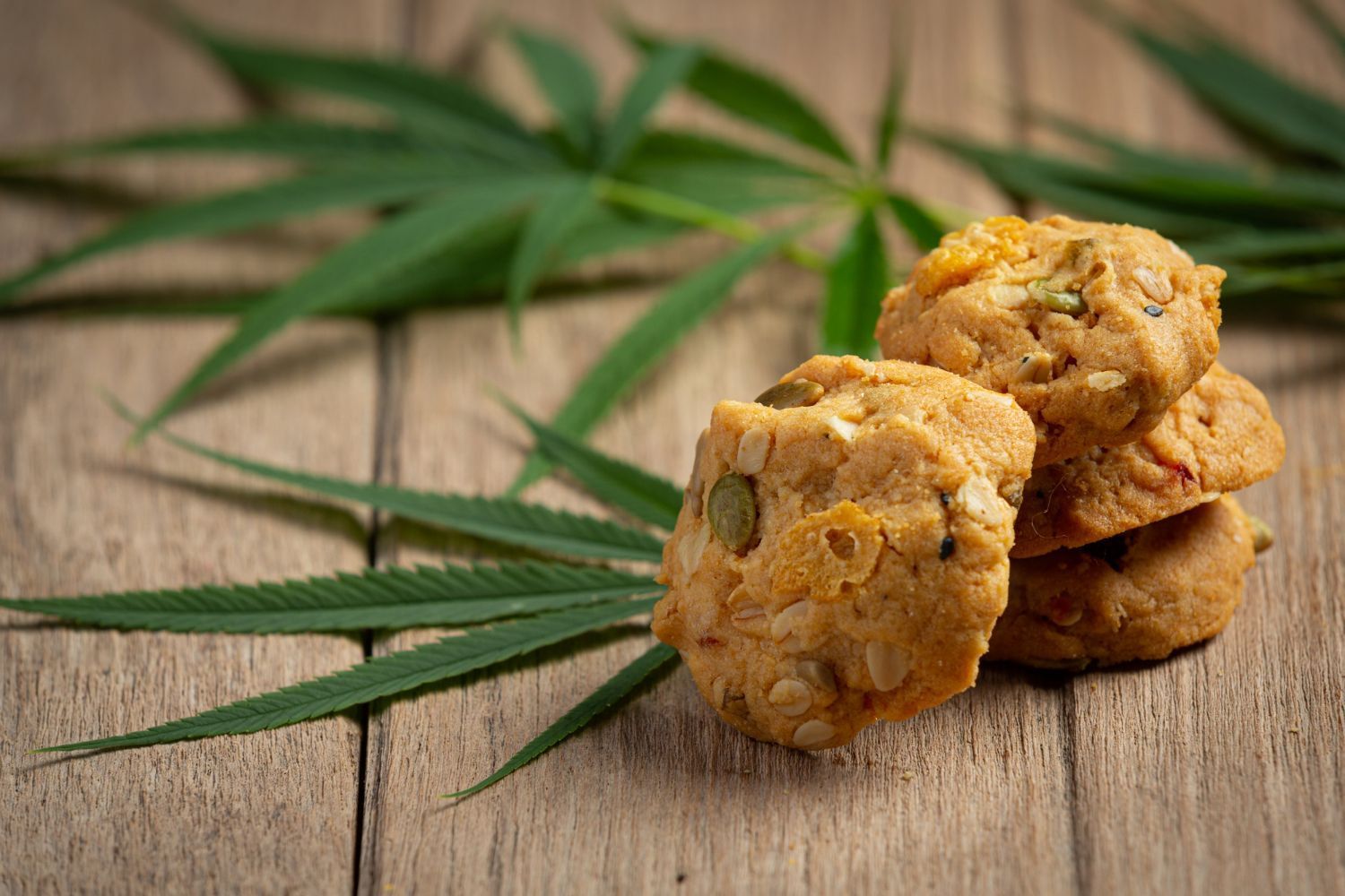 Cannabis Edibles in Waterford, NY