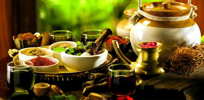 Un assortimento di erbe, polveri e oli ayurvedici disposti in ciotole di ceramica e recipienti di ottone su una superficie di legno.