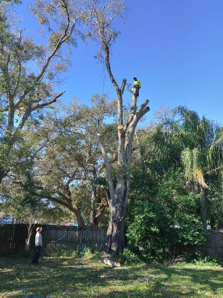 Man Is Cutting Down A Tree In A Backyard — Vero Beach, FL — Perez Tree Service