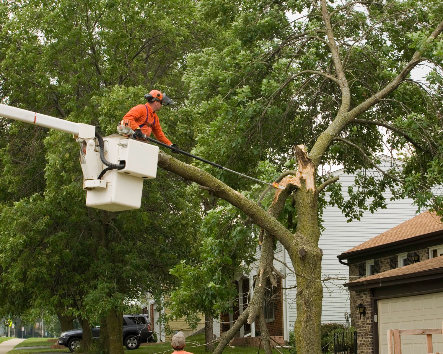 A storm damaged tree gets cut by a professional arborist as part of emergency tree services.