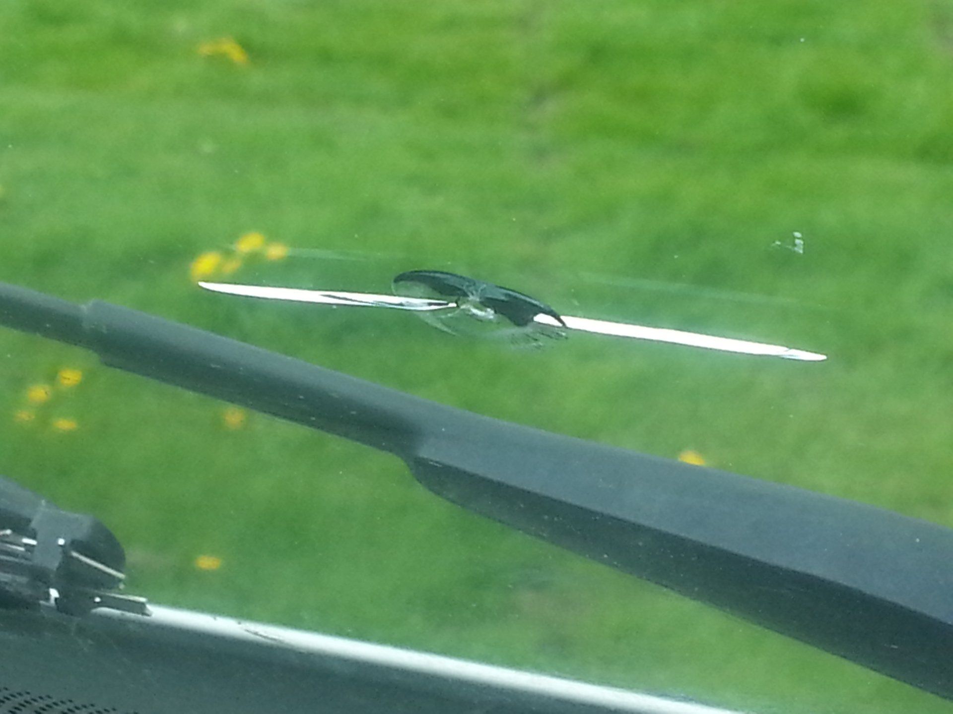 Before and After Windscreen Repair Resin Performance