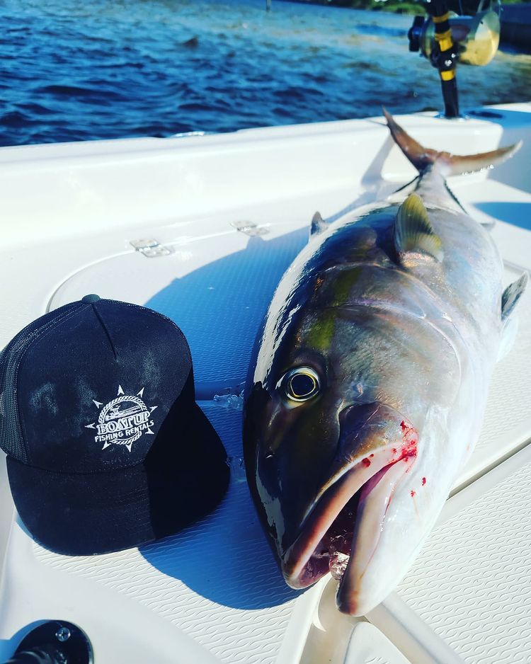 Big Fish — Destin, FL — Boat Up Fishing Rentals