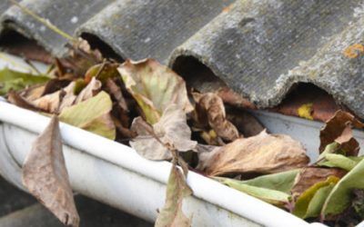 leaves piled up in gutter 