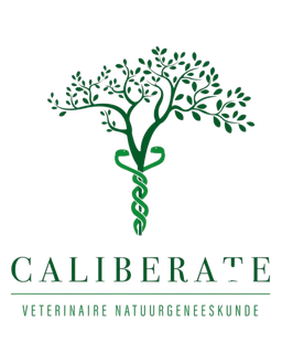 Een logo voor kalibreren veterinaire natuurgeneeskunde met een boom en slang