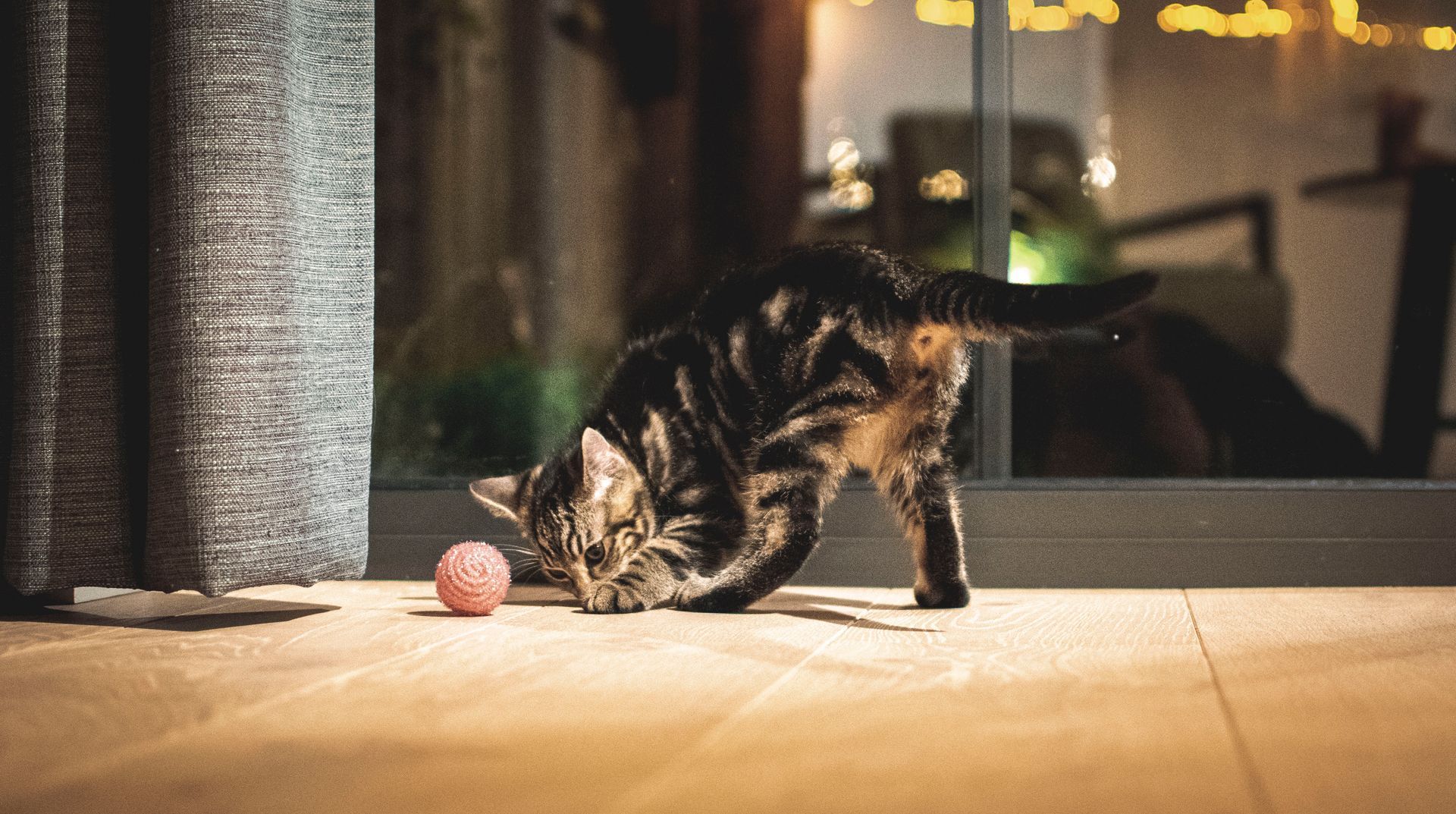 Een kat speelt met een roze bal op de grond.