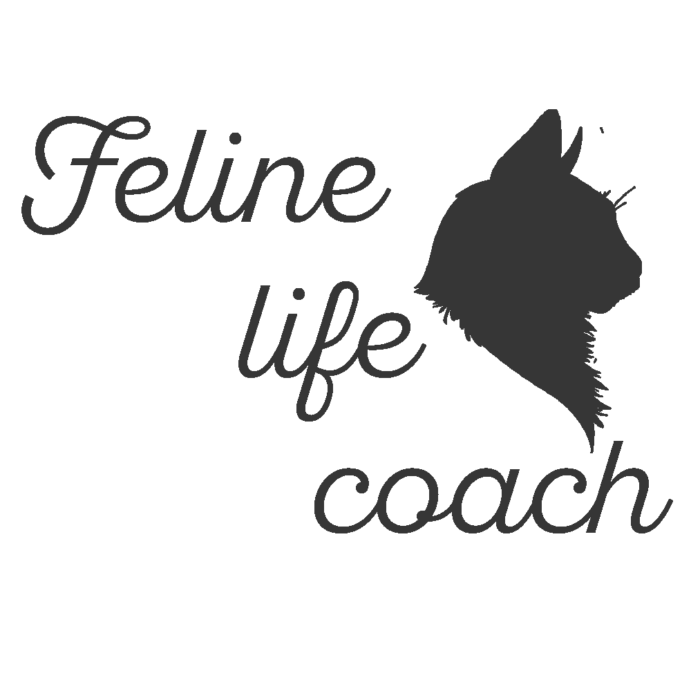 Een silhouet van een kat met daaronder de tekst ``feline life coach''.