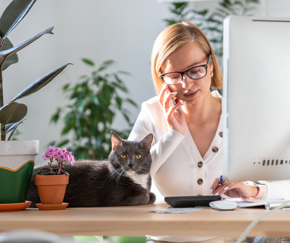Felinelifecoach_gedrachsconsult