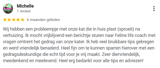 review