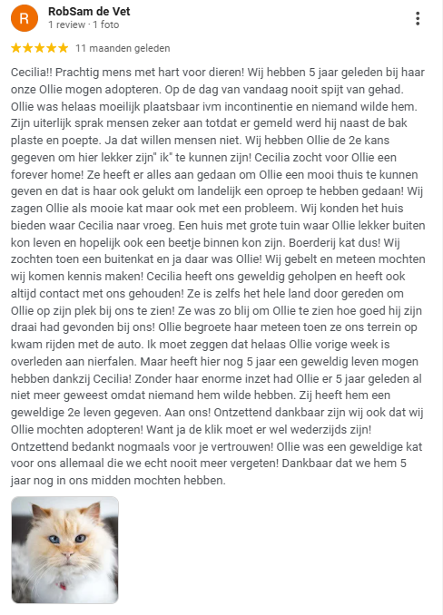 Nederlands bericht op sociale media met een lange tekst over een kat en een kleine kattenfoto linksonder.