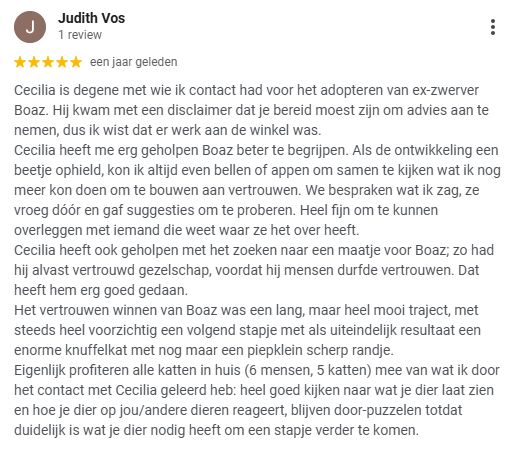 review
