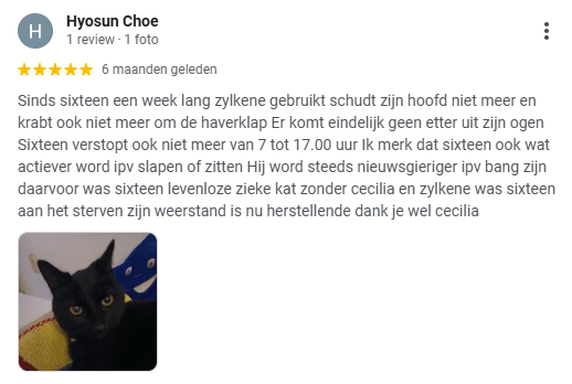 review