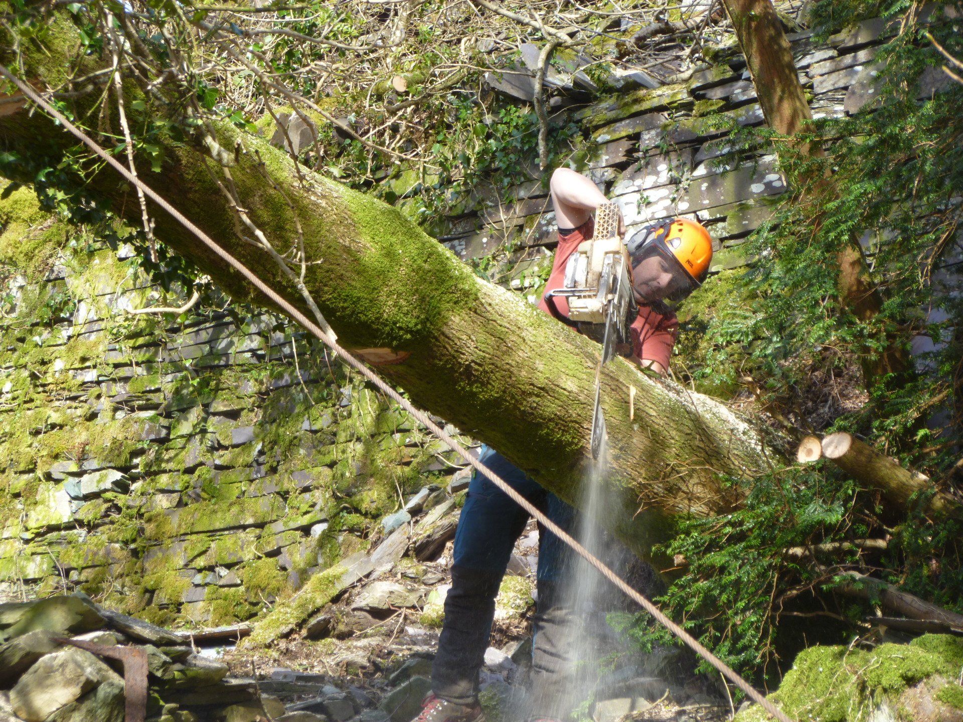 Using the winch to pull over the tree trunk.