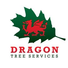 Dragon Tree Services provide all aspects of tree surgery throughput North Wales from Caernarfon, Bangor, Anglesey, Llanberis, Conwy, Betws y Coed, Pwllheli and all areas inbetween.