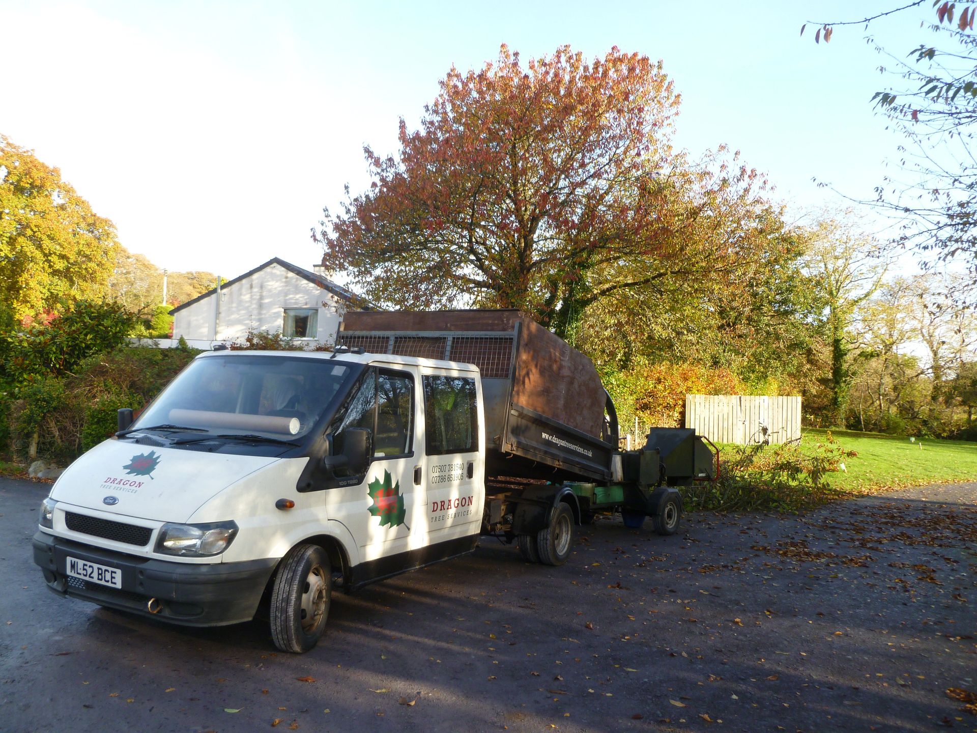 Setting up before beginning the Cherry Tree Crown Reduction. The Dragon Tree Services van now complete with go faster stripes along the sills.