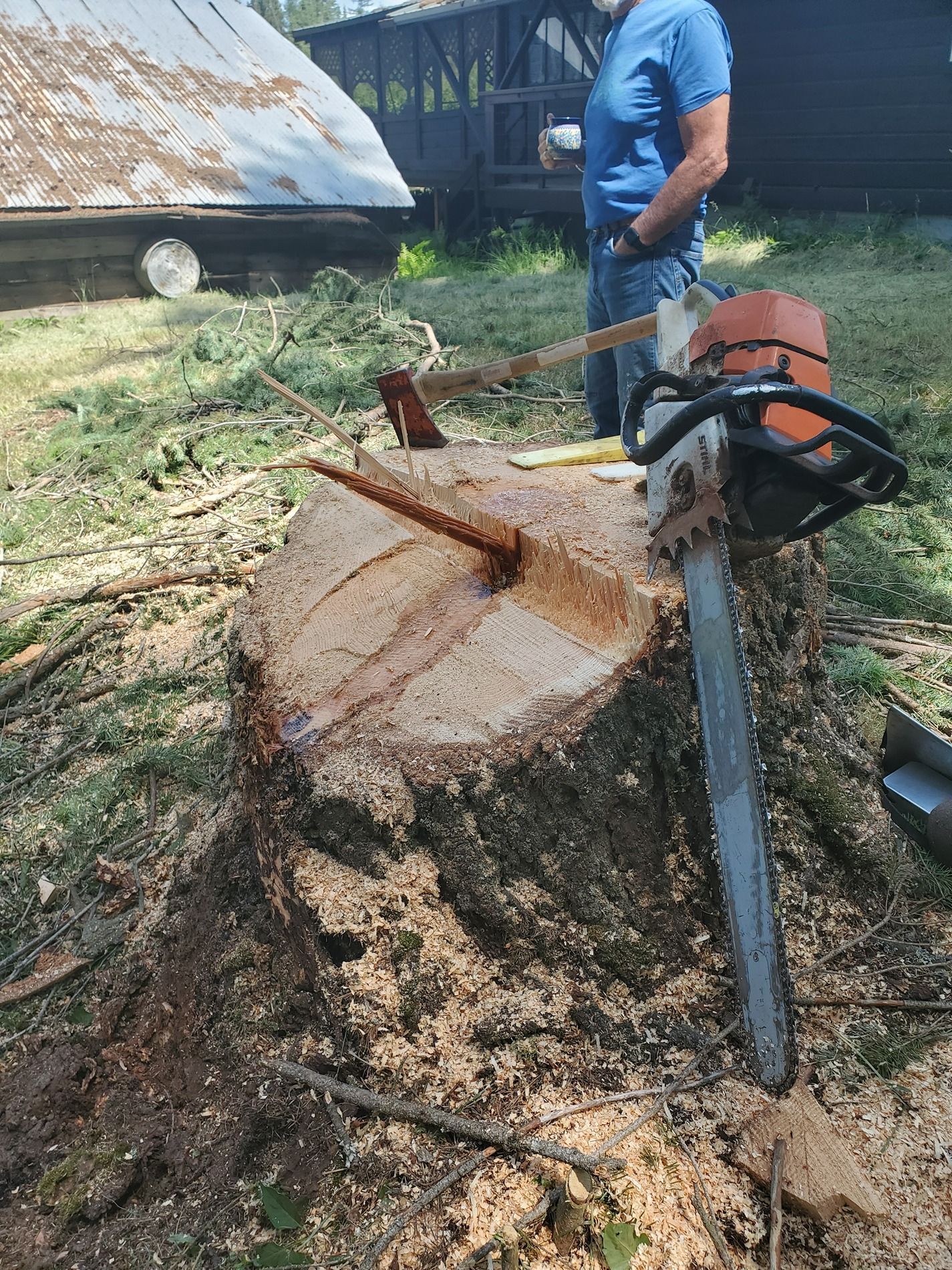 A stump with a chainsaw, ax, and person in the background. Wood chips and debris surround the stump.