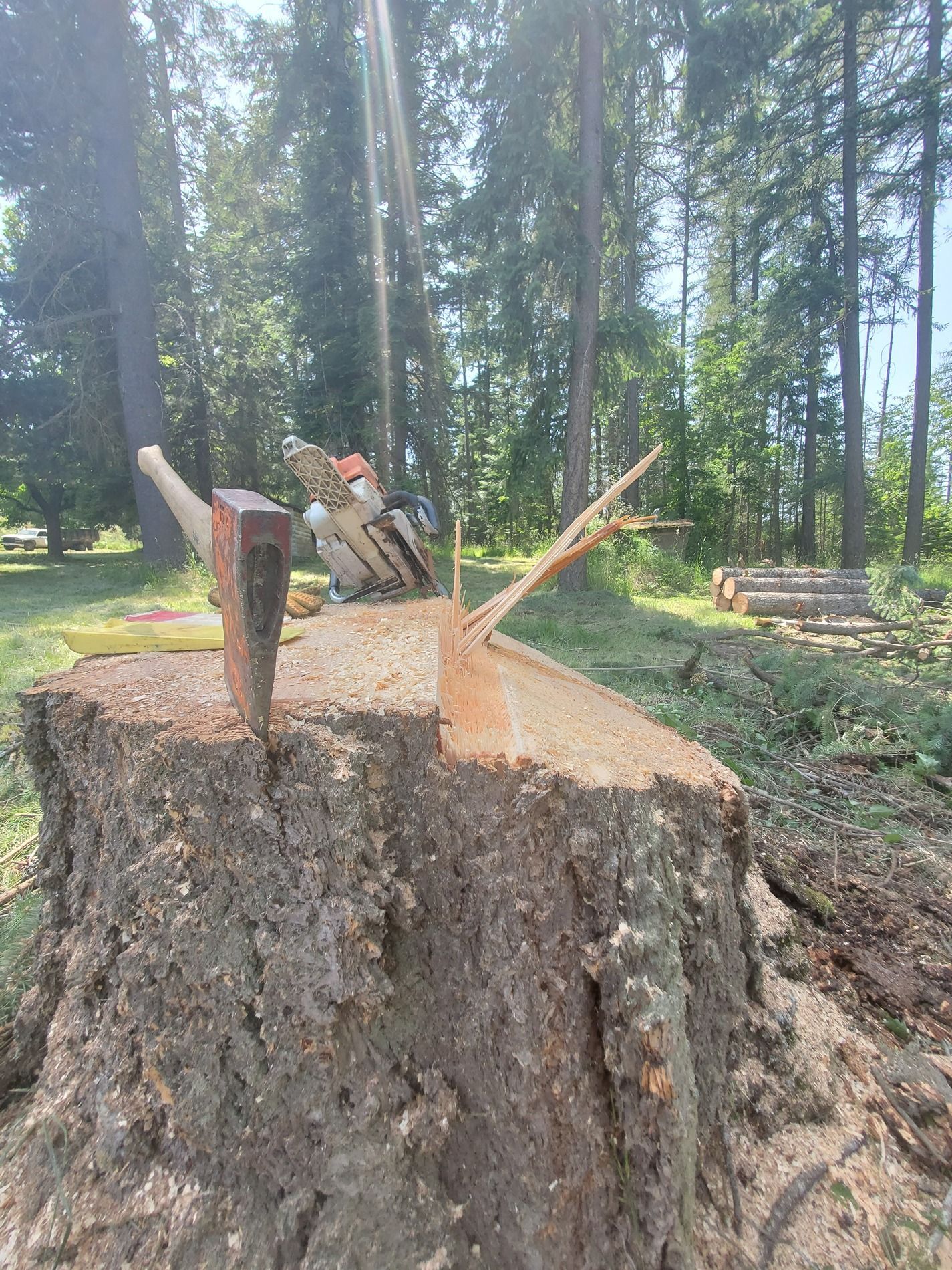 Stump with axe and wedge. Chainsaw in background. Forest setting.