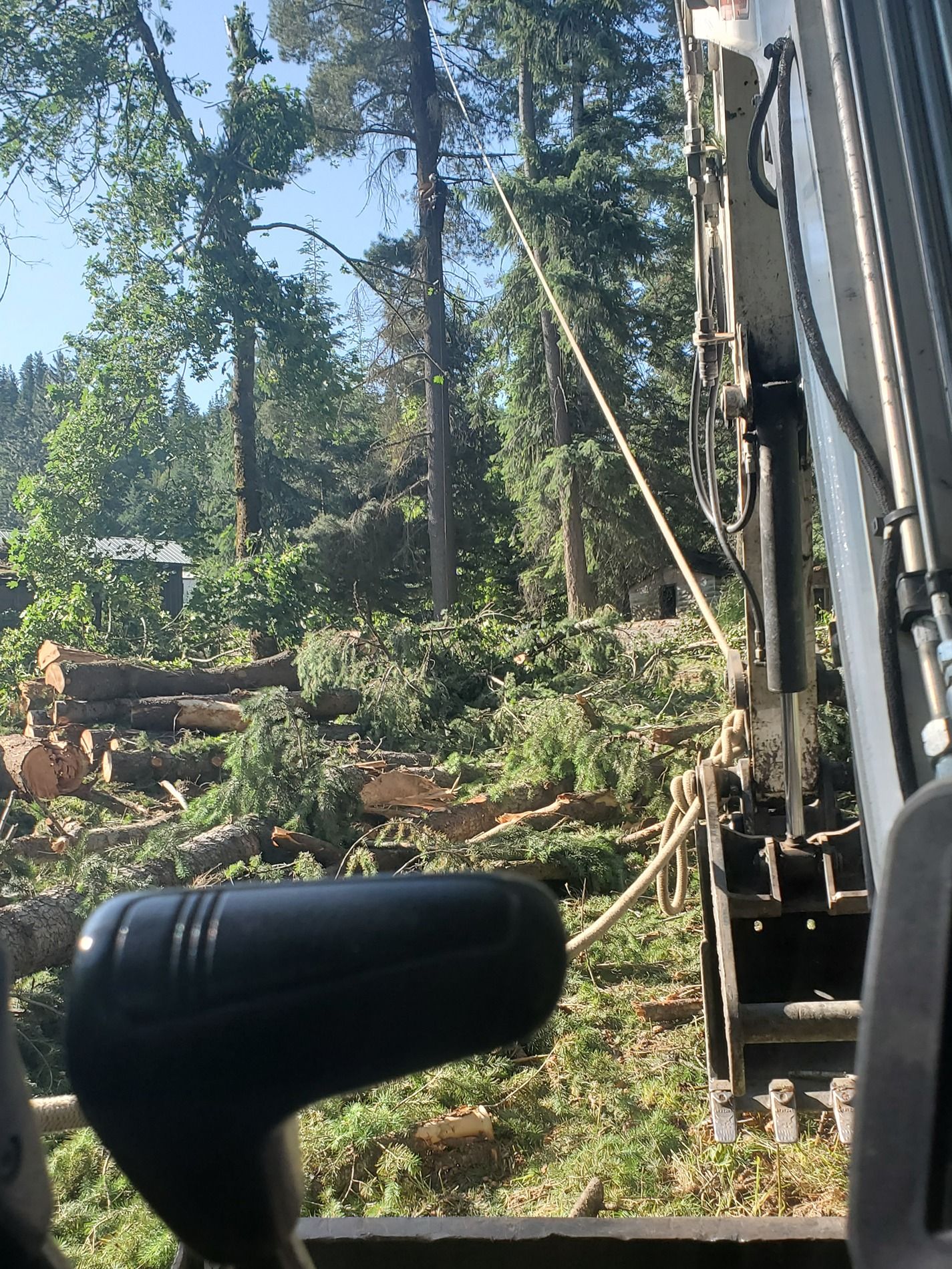 An excavator uses a rope to pull down a tall tree in a wooded area.