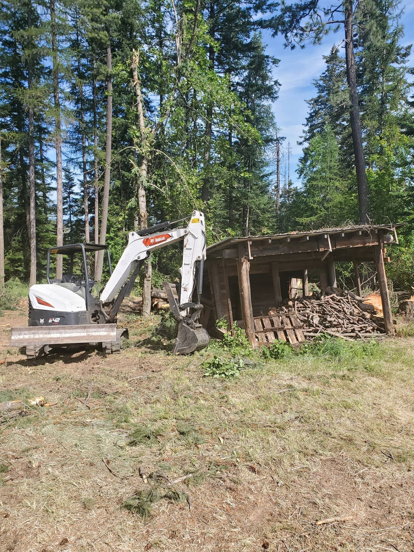 Mini excavator next to a wood shed in a forest.