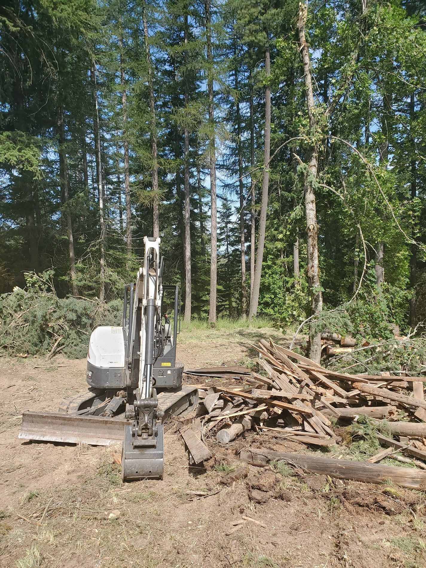 An excavator clearing a wooded area, with piles of logs and a forest in the background.