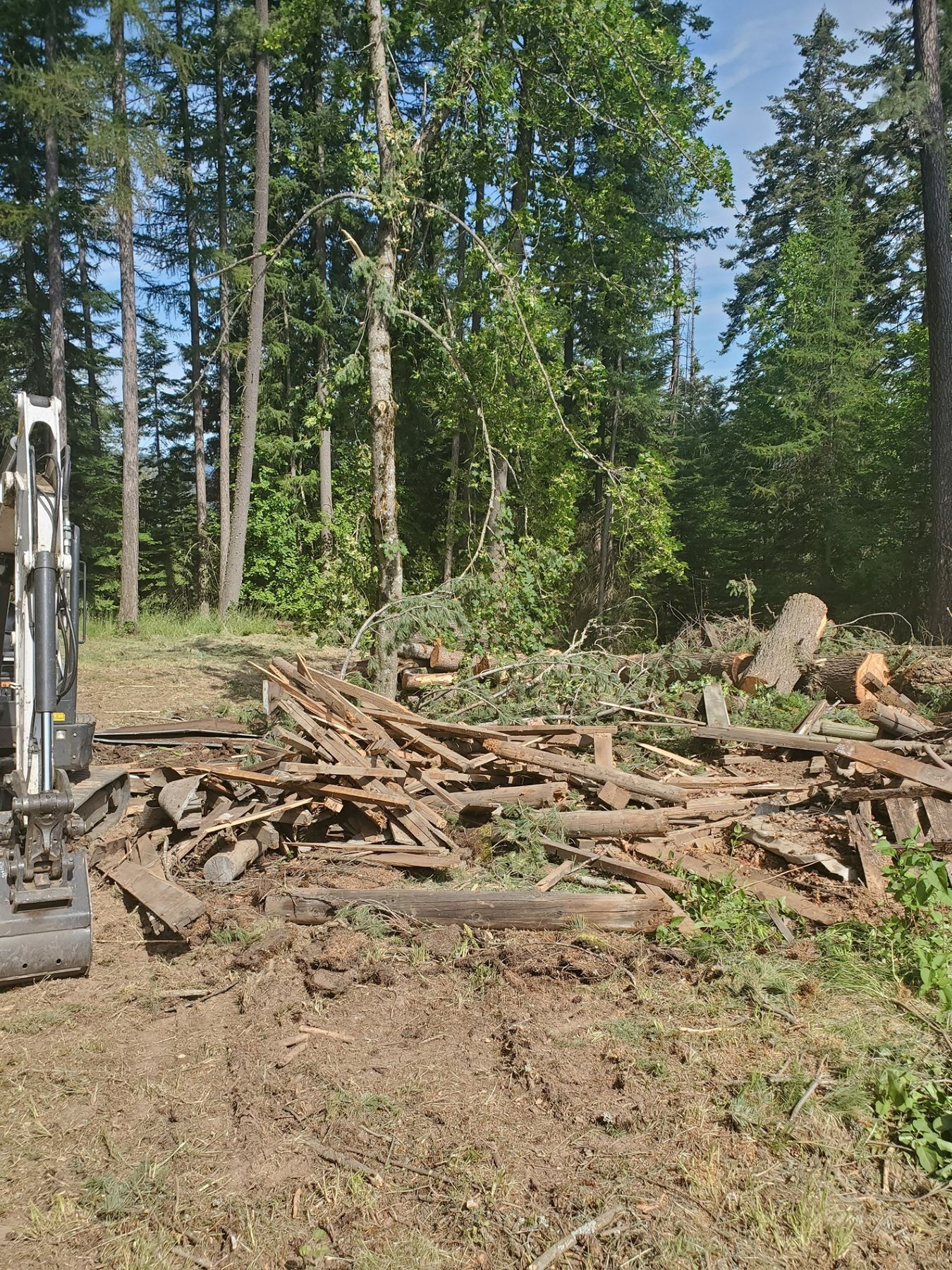 Clearing of a wooded area with an excavator; piles of wood and debris.