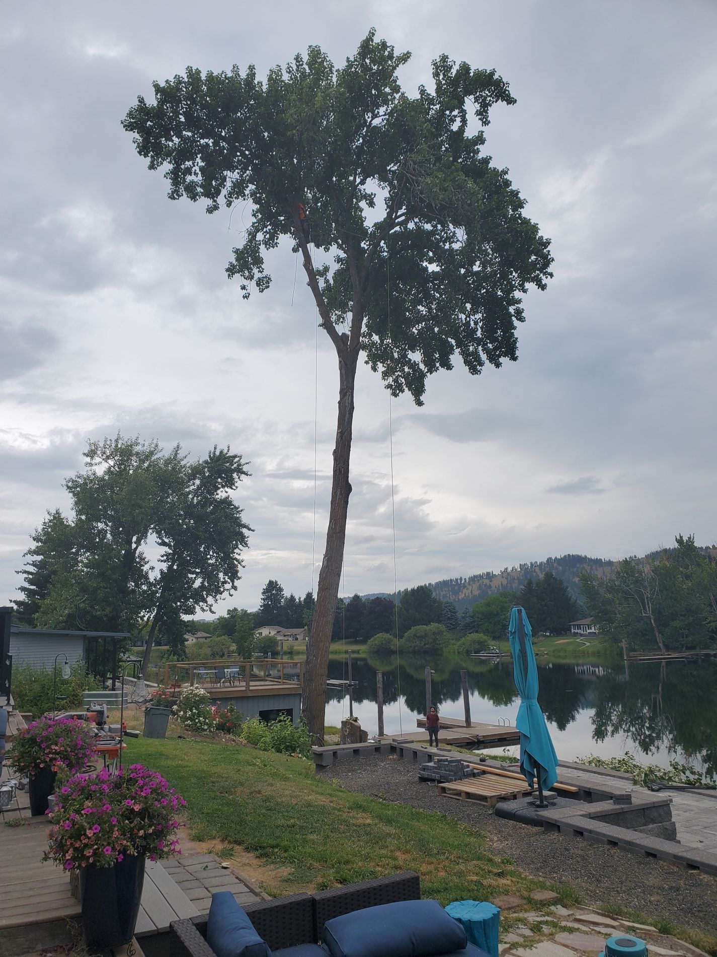 Tree with a swing rope by a lake, patio furniture in foreground, overcast sky.