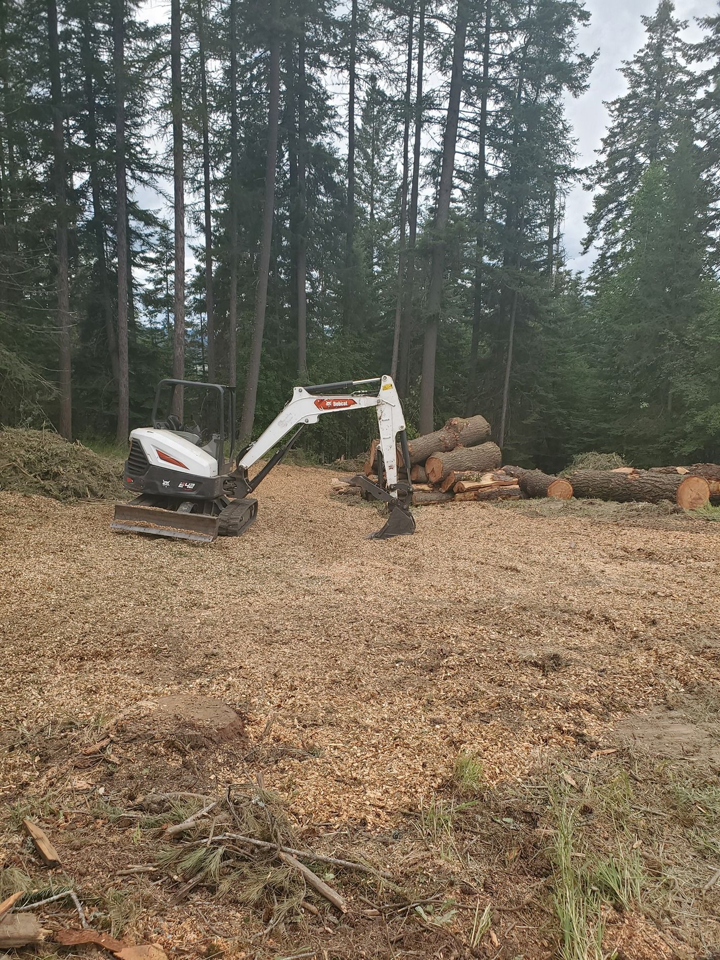 A Bobcat excavator on a clearing in a forest, logs and wood chips visible.
