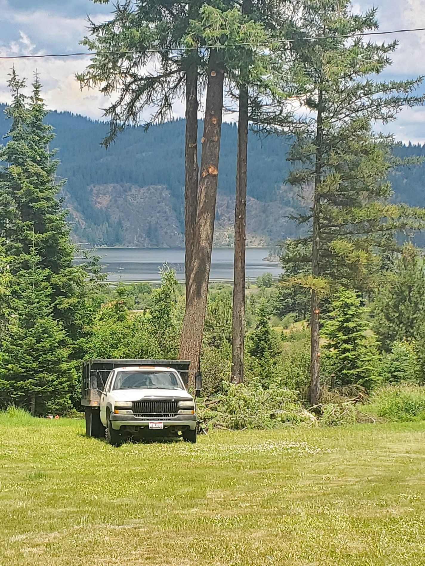 White truck parked in a grassy field with trees, mountains and a lake in the background.