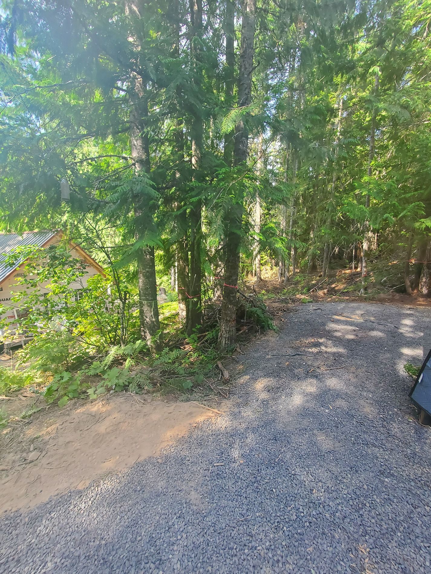 Gravel driveway curves toward trees, adjacent to a small building. Bright sunlight casts shadows.