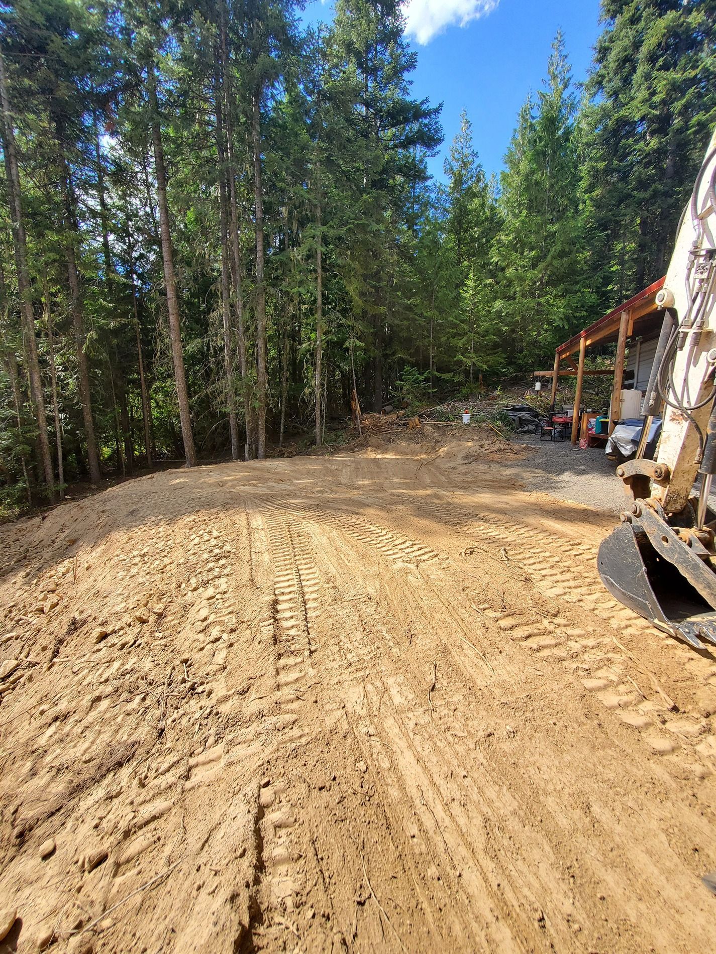 Dirt clearing in a forest with tire tracks, a few trees, and a partly visible building.