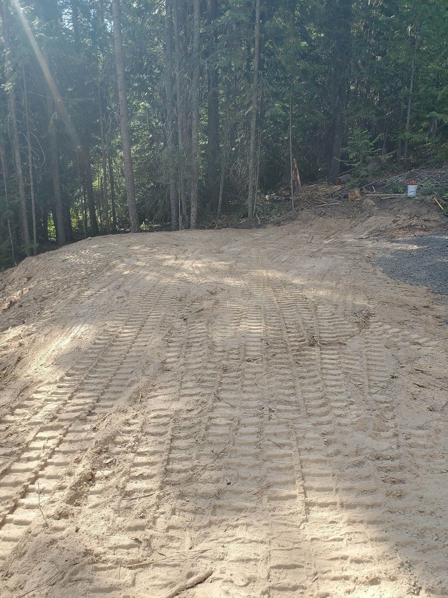 Dirt path with tire tracks, leading toward a wooded area. Sunlight streams through the trees.