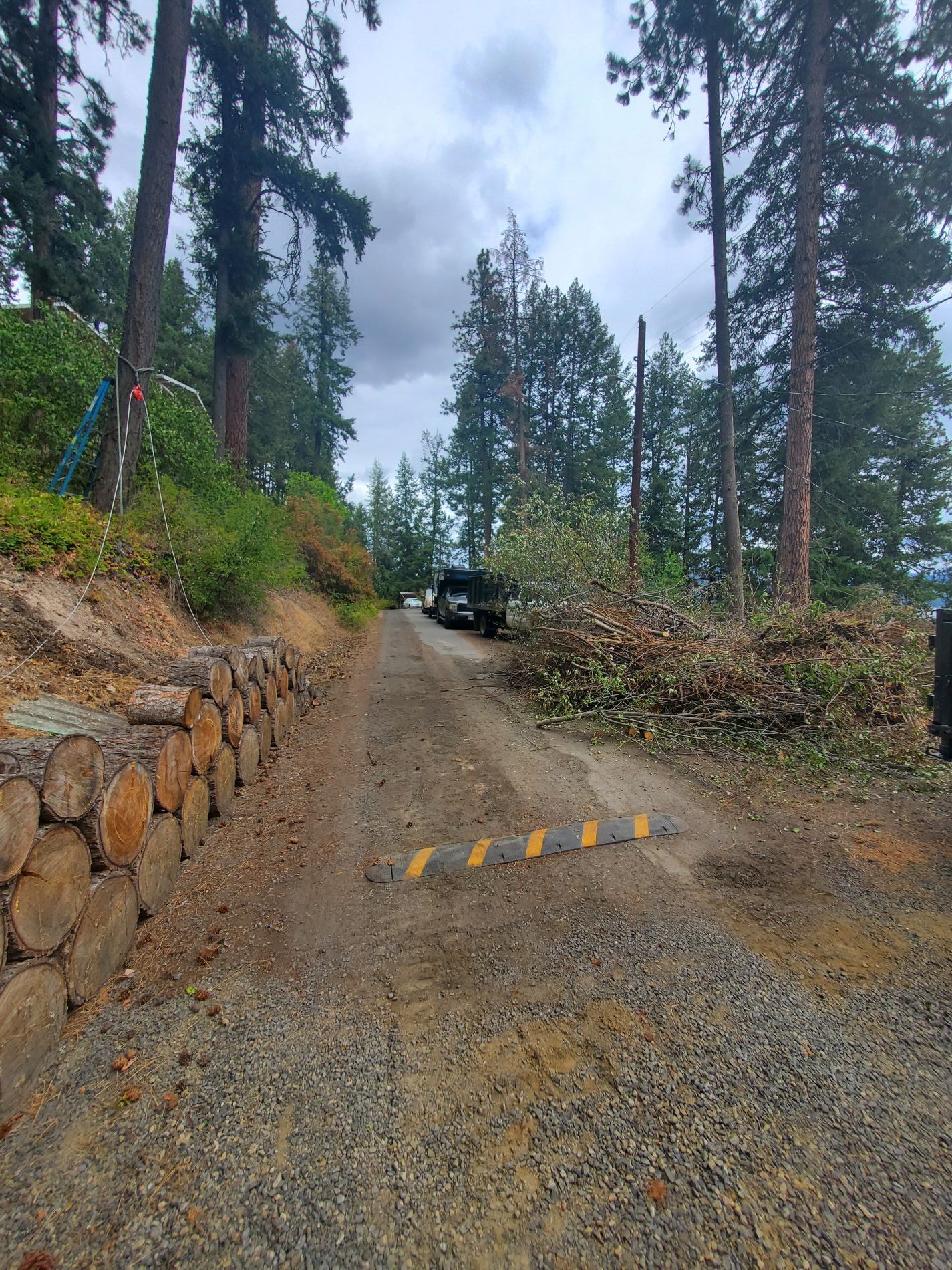 Gravel road with speed bump and wood-lined side. Pile of branches and a truck ahead. Trees line the sides under a cloudy sky.