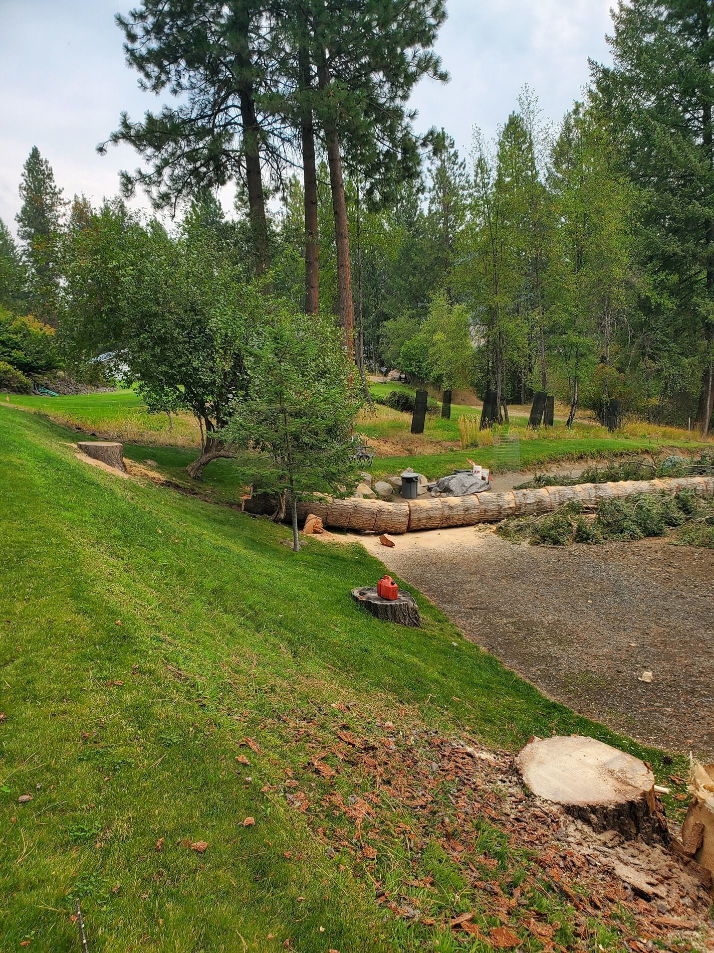 Green grassy hillside slopes down to a dry, gravel-lined area with trees in the background.