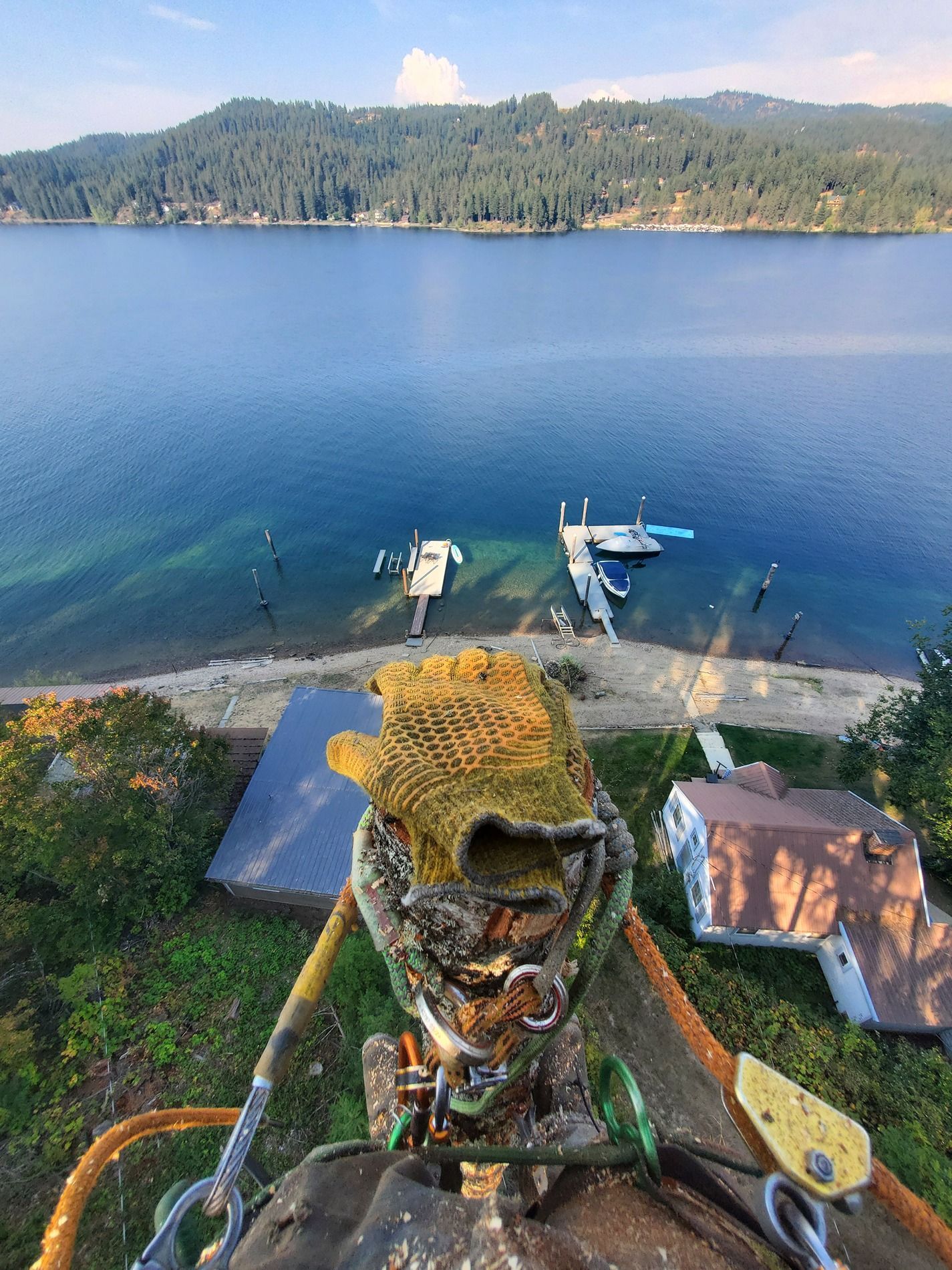 A gloved hand, tree-climbing gear, and lake view with docks and houses.
