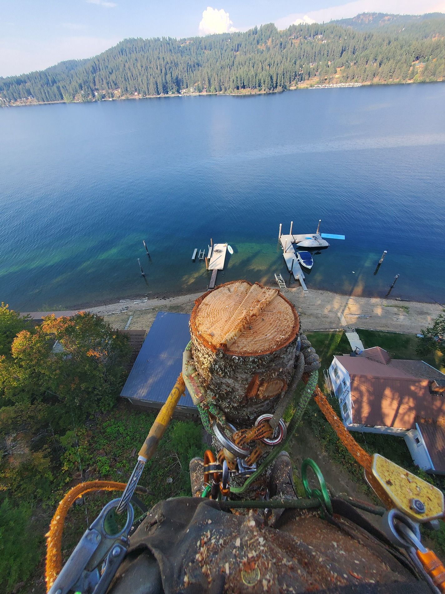 Arborist atop a tree stump, lake in the background, docks, trees, and blue water.