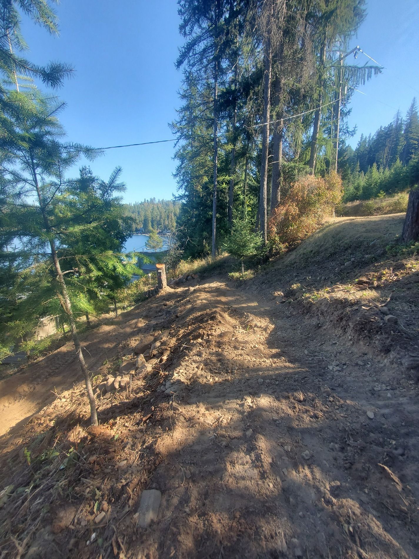 Dirt path through a forested area, view of a lake in the background. Sunny day.