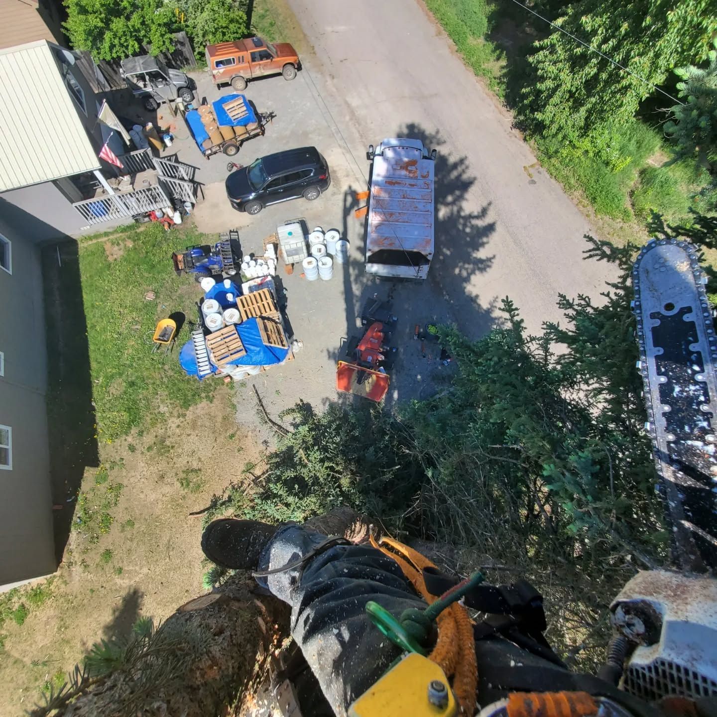 A tree climber using a chainsaw, looking down at equipment and vehicles on the ground.