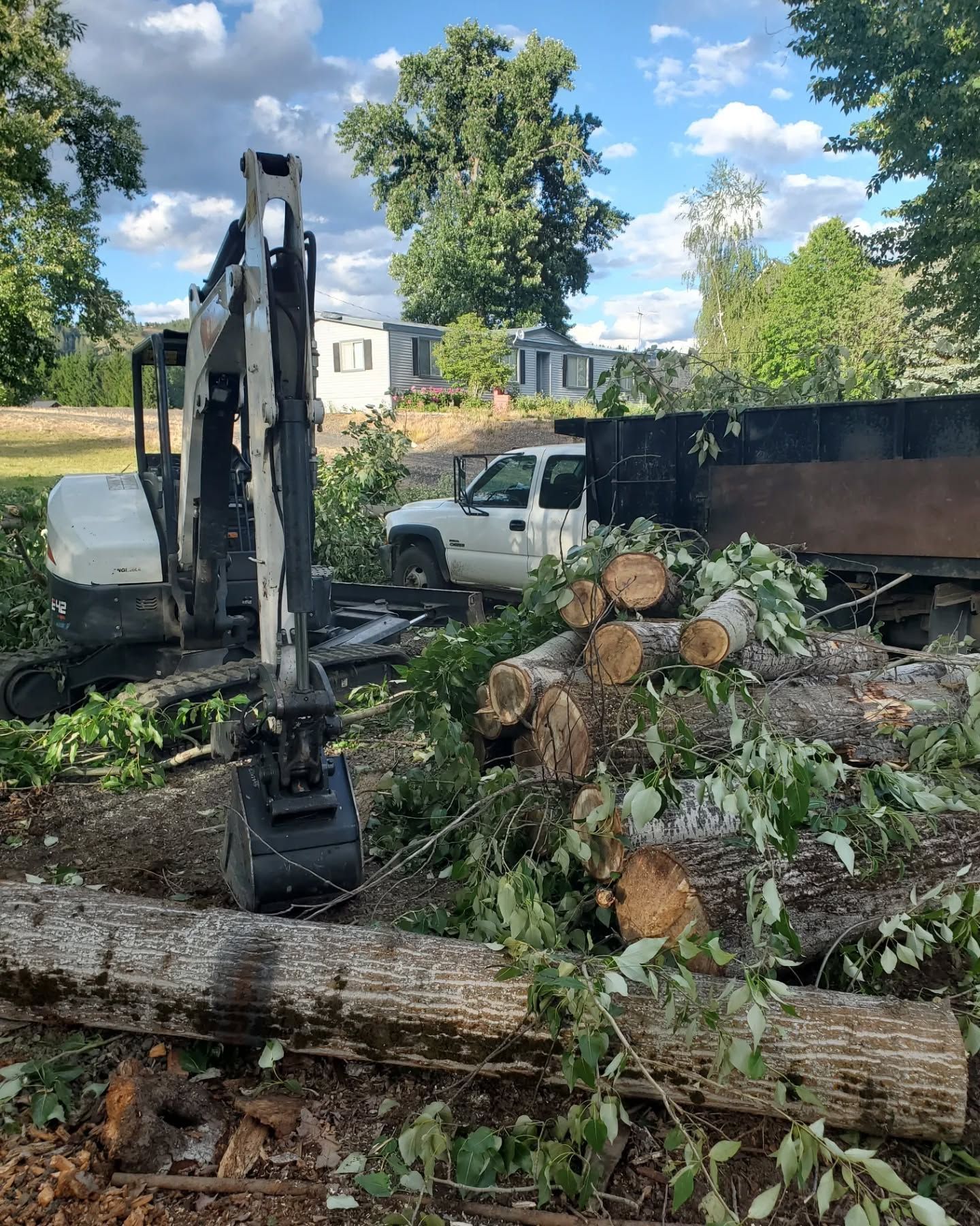 Excavator loading a truck with cut tree logs; sunny outdoor setting.