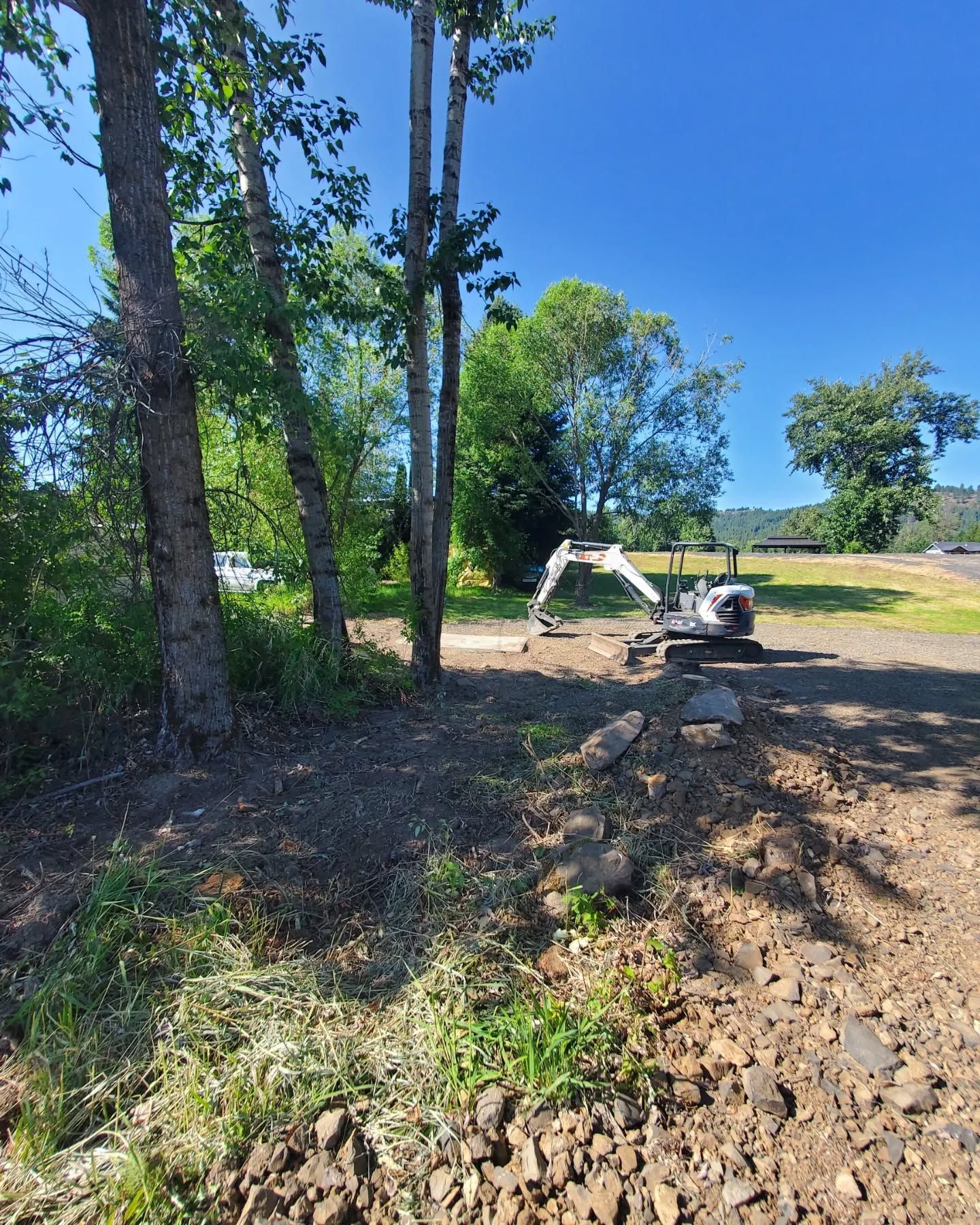 Mini excavator on a dirt patch near trees. Sunny day.