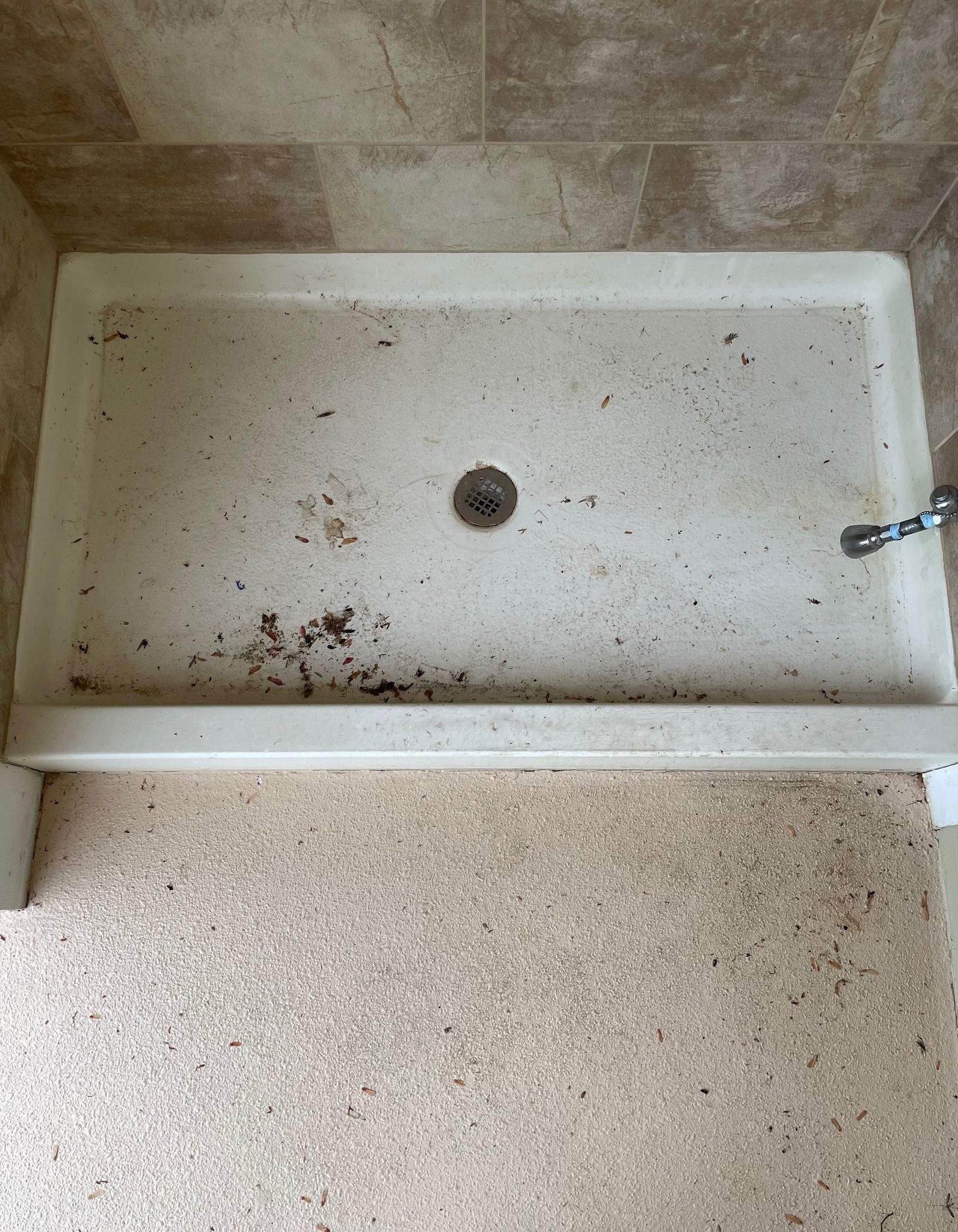 A dirty shower stall in a bathroom with a drain.