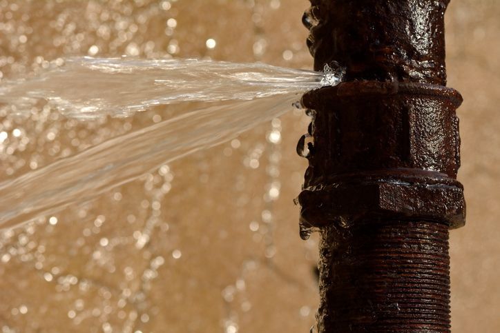 water cleanup fort myers